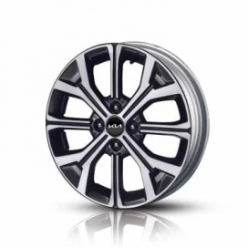 Легкосплавные диски&nbsp;16'' с&nbsp;шинами 195/55R16